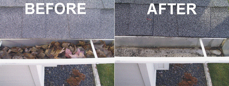 richmond gutter cleaning