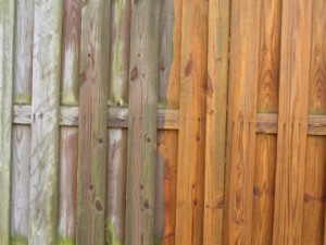 wood fence cleaning richmond